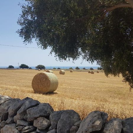 Apartamento Homidoo Country Santa Croce Camerina Exterior foto
